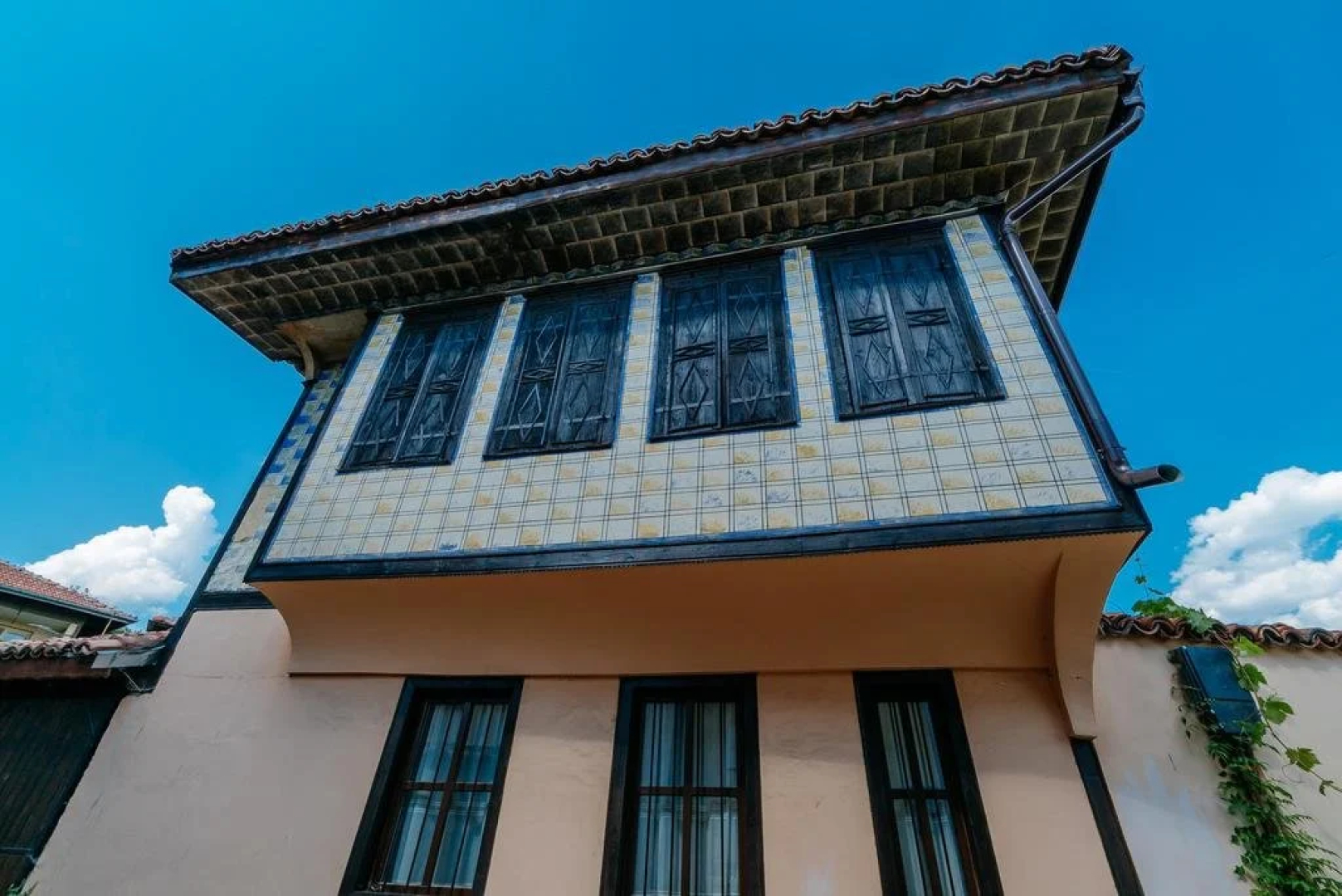 The Zoev House