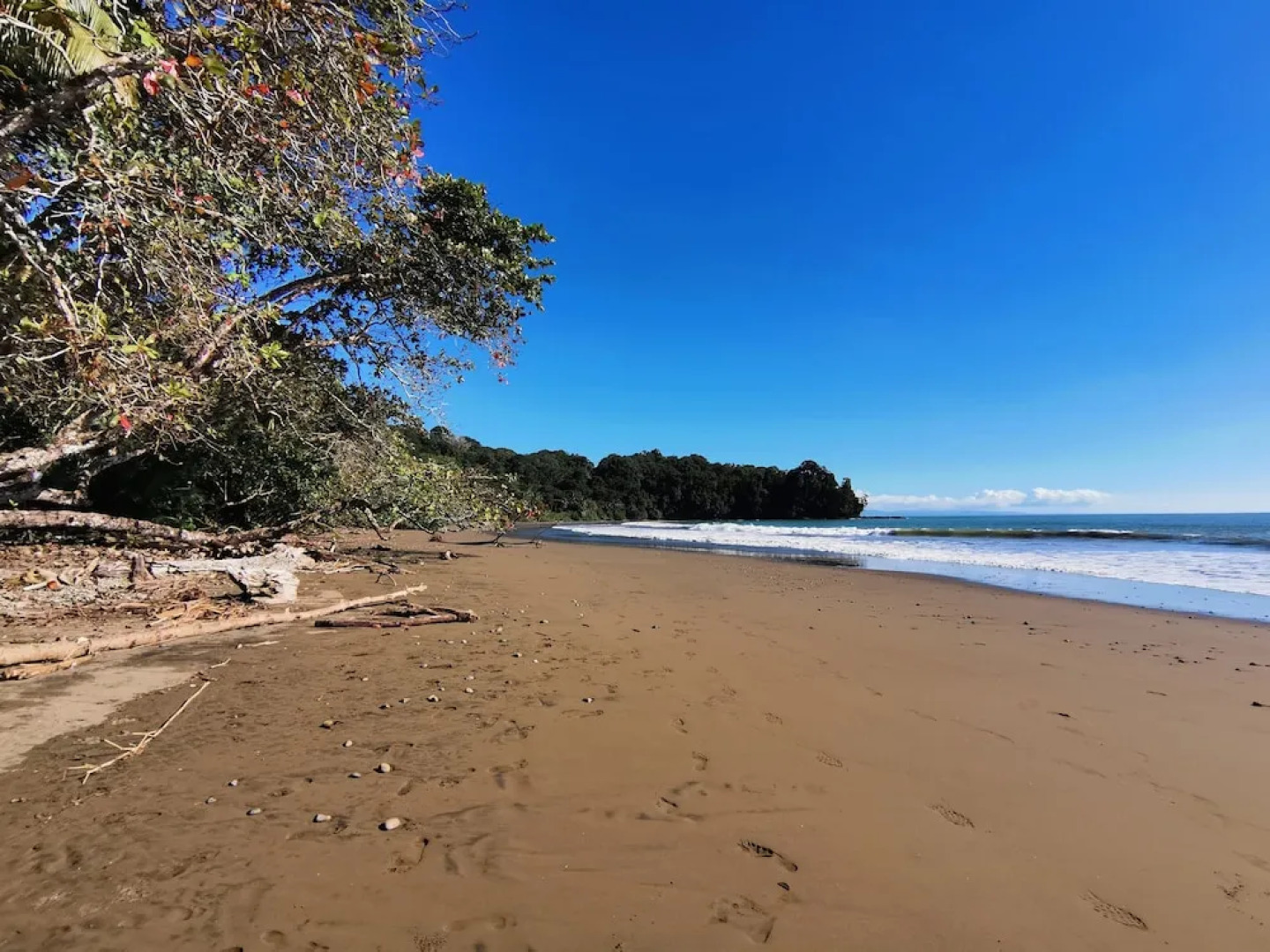 Elan at Ballena Beach
