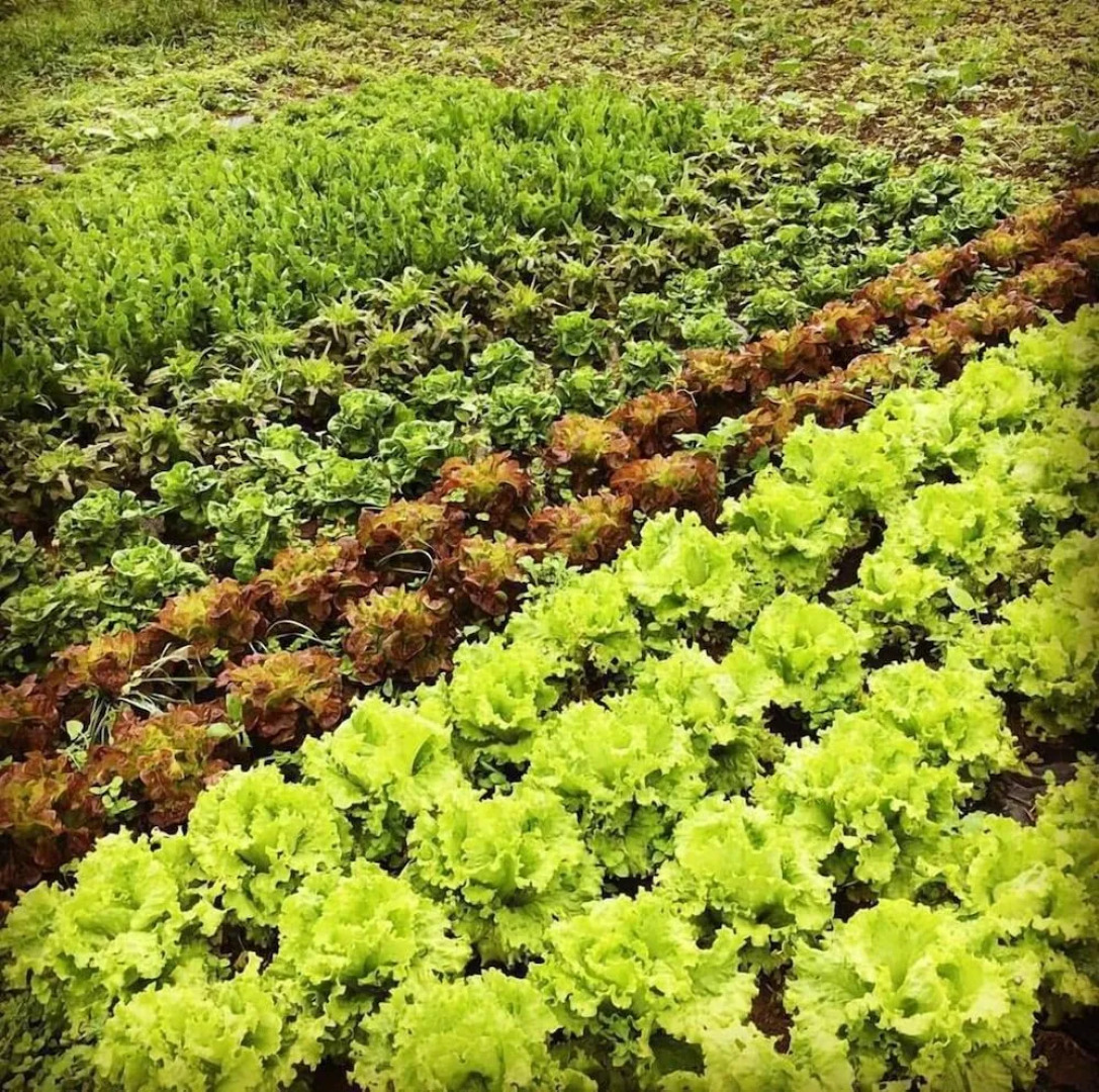 Casa Rural Aristondo