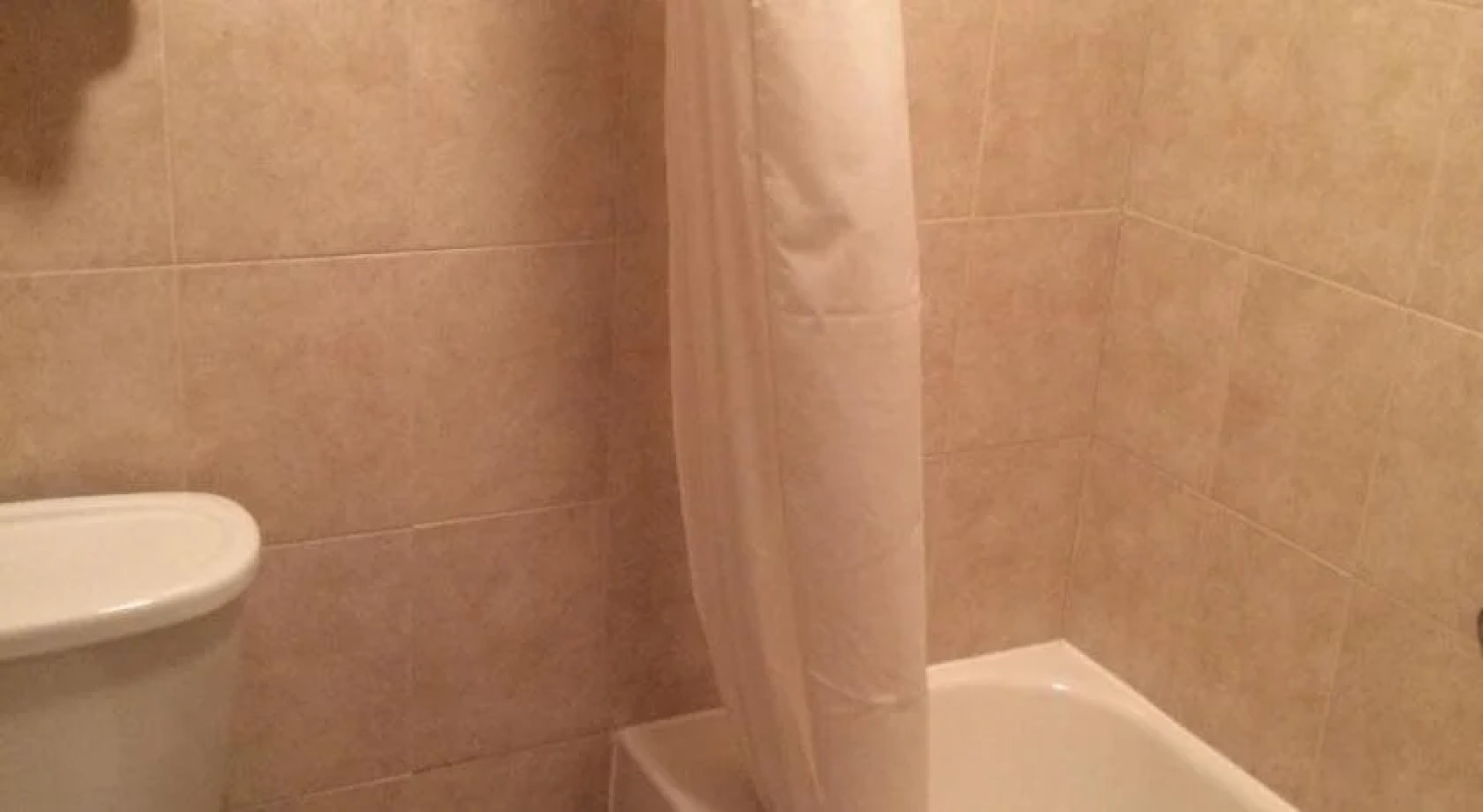 Pacer Inn And Suites Delaware