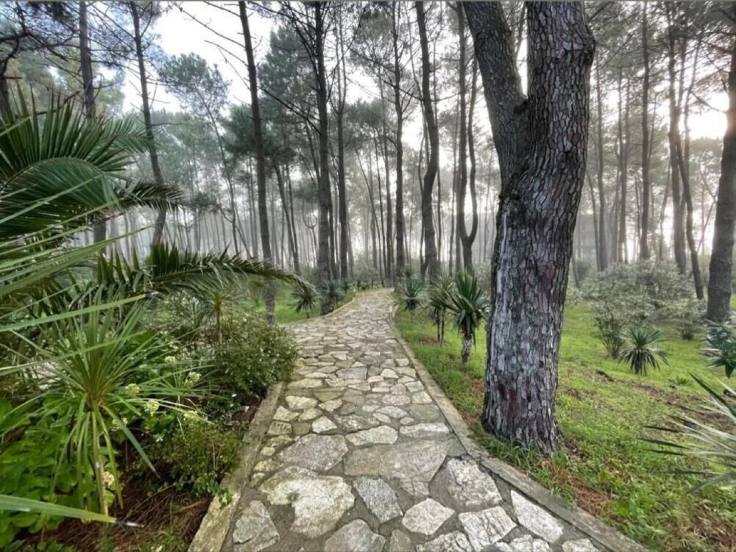 Andamati Beach Resort