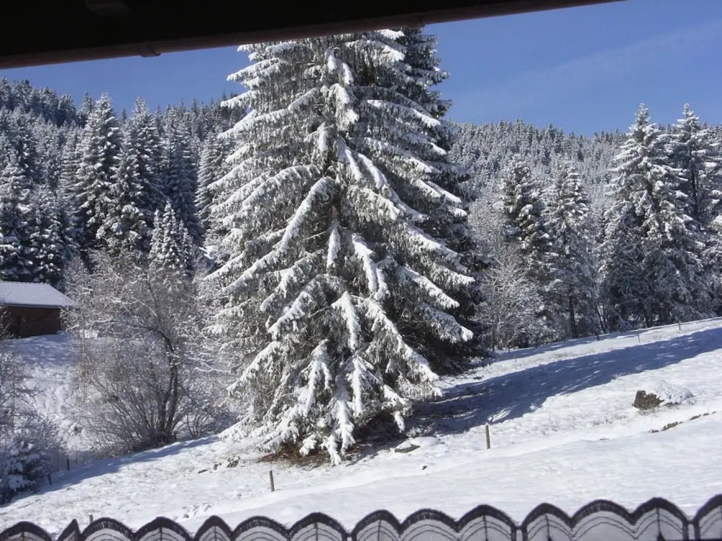 Schwarzwald- Hotel Kräutle