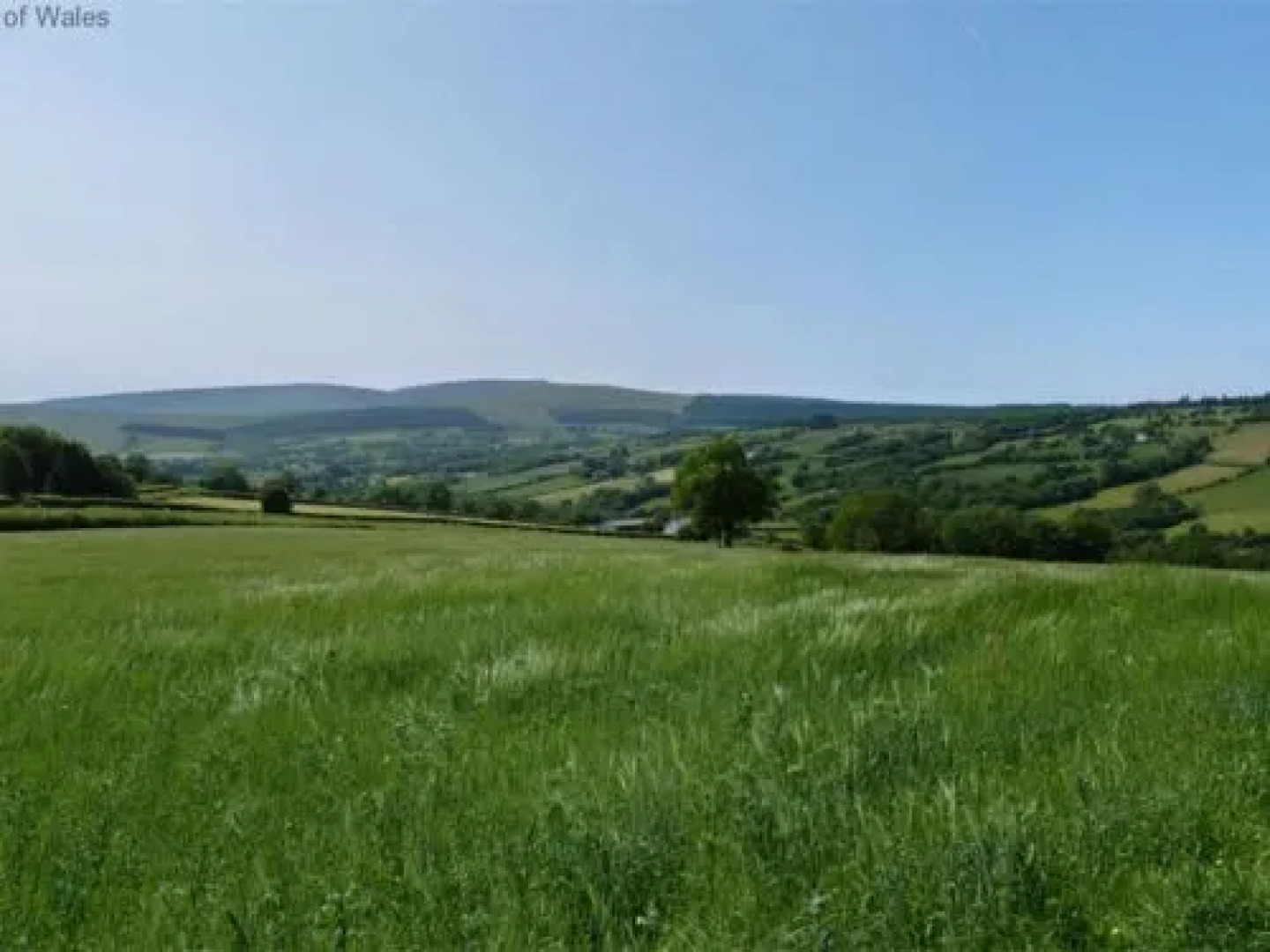 House Crai Acquarossa