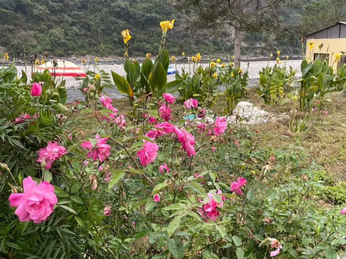 Nayar Valley Retreat