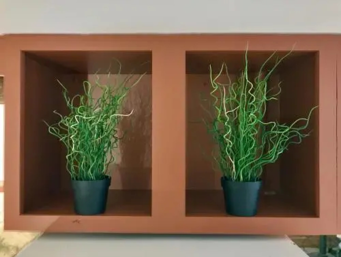 The Tropical Guesthouse