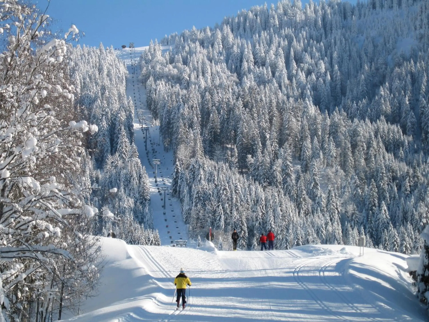 Kienle - das Kräuterhotel