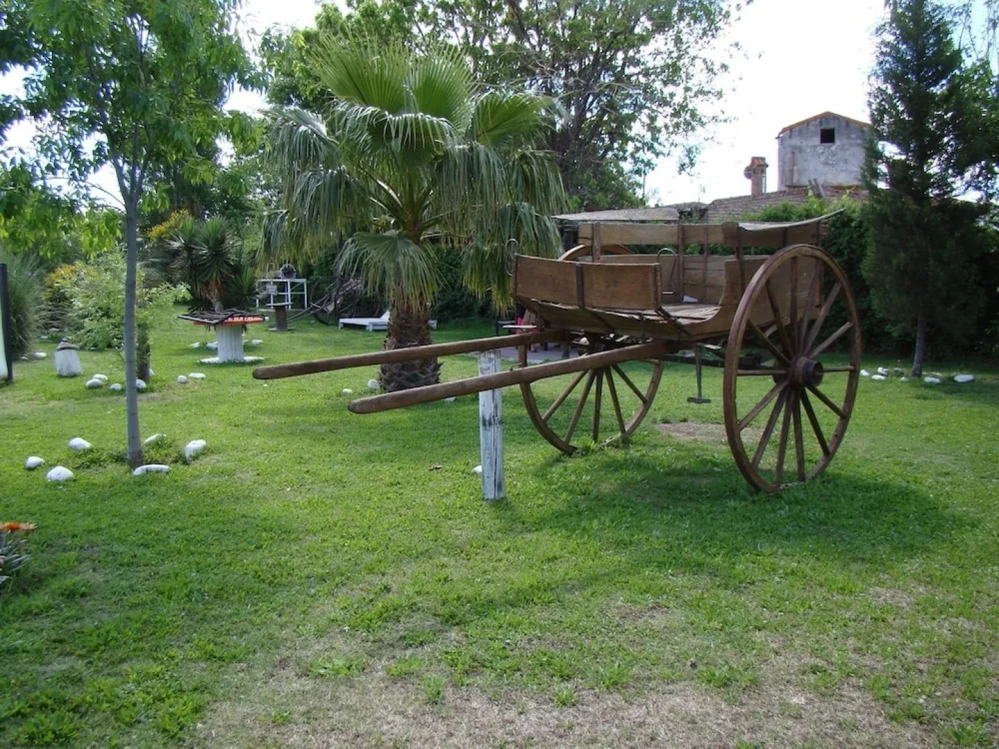 Sangiovese Club House