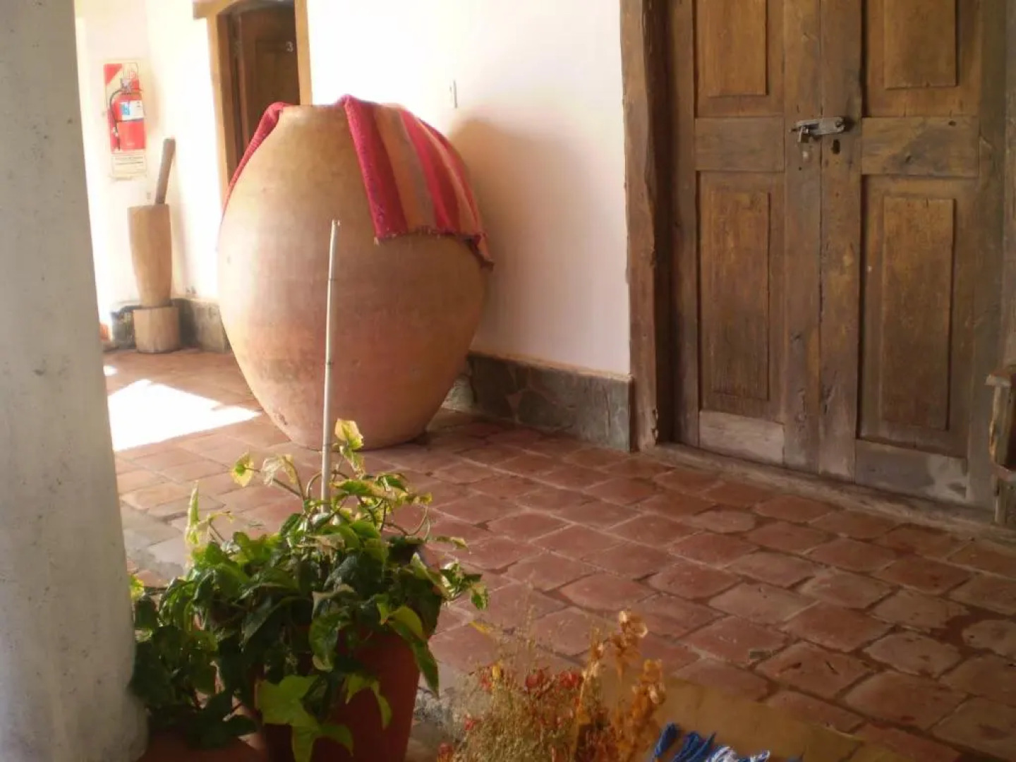 Las Tinajas de San Carlos