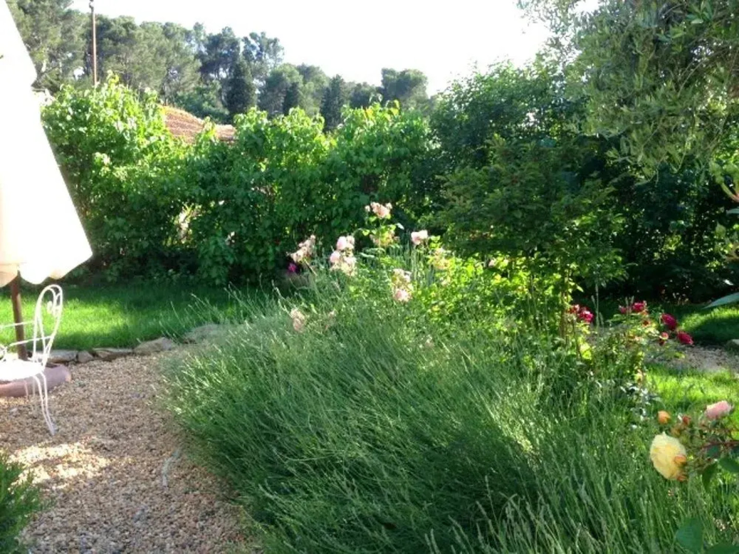 Manor House Domaine des Pins