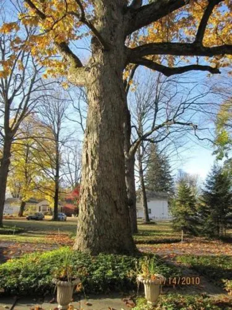 The Renwick Clifton House