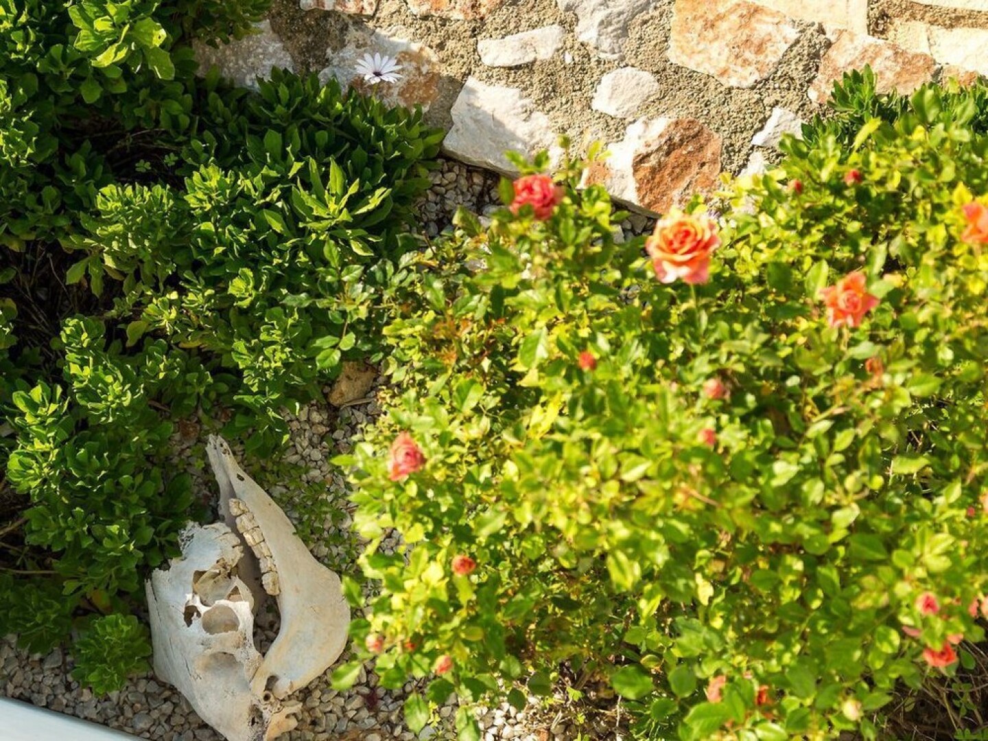 Sunset Villa In Kokkino Chorio