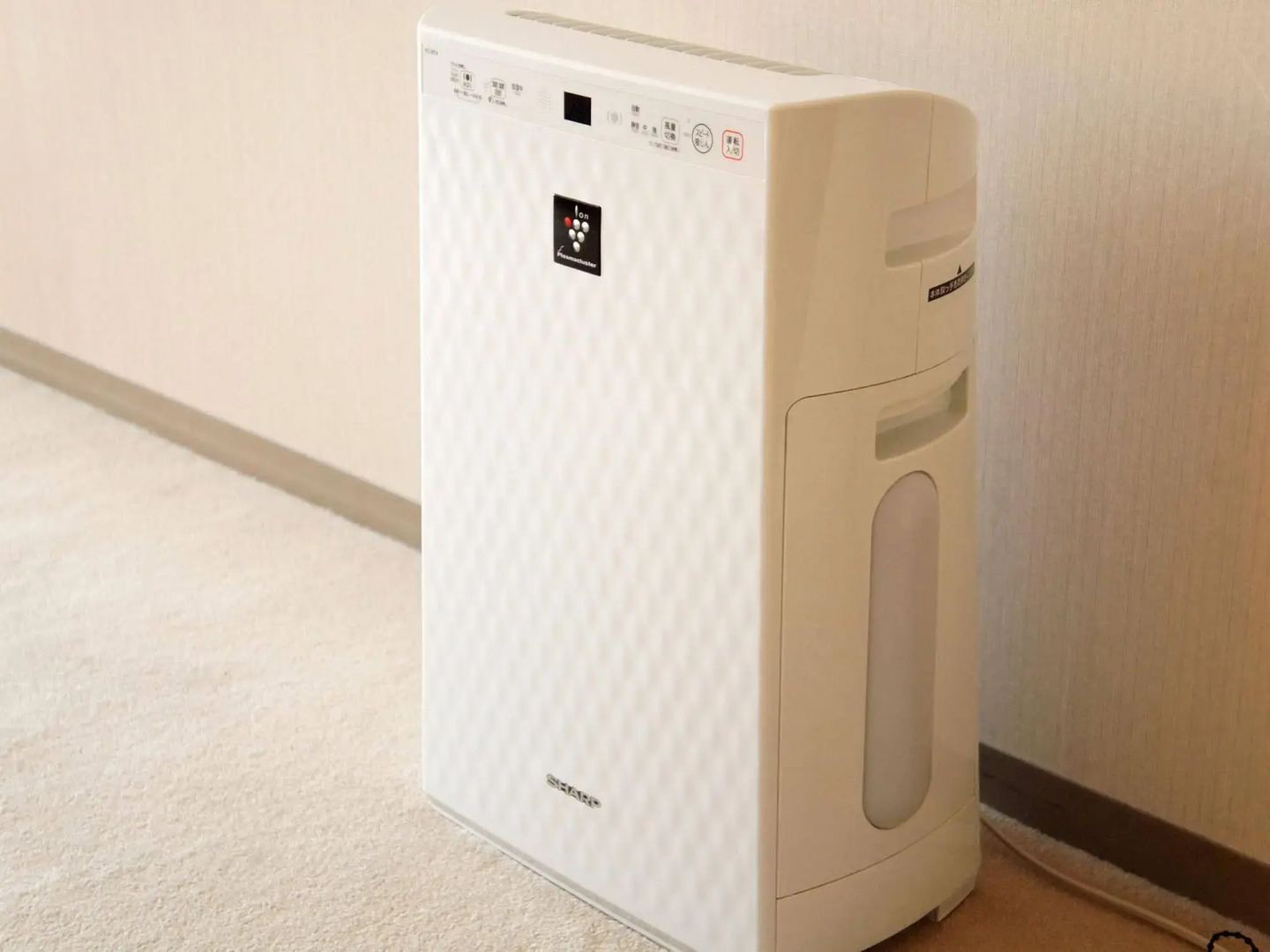 Hotel Mercato Wajima