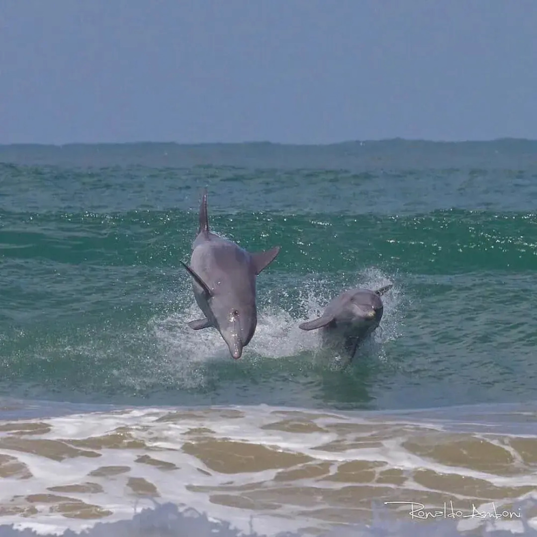 Resid. Clube Mar Grosso-Laguna - LAG605