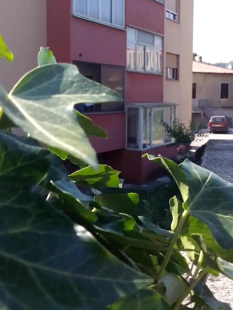 Apartment Sanja