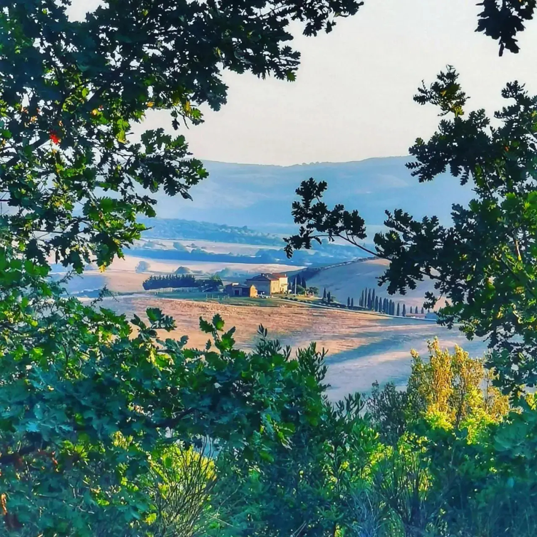 Podere Poggio Salto