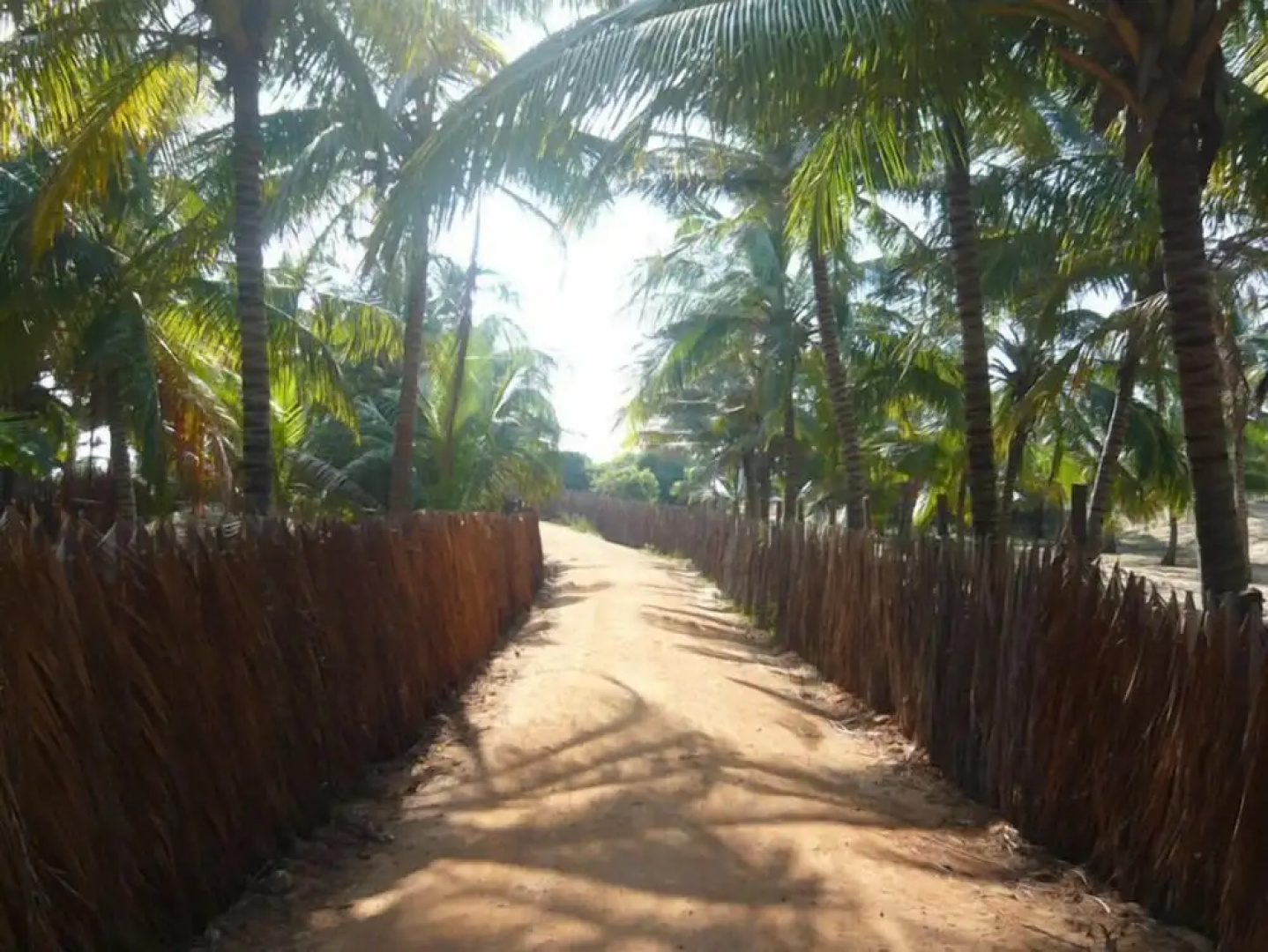 Alankuda Beach Resort