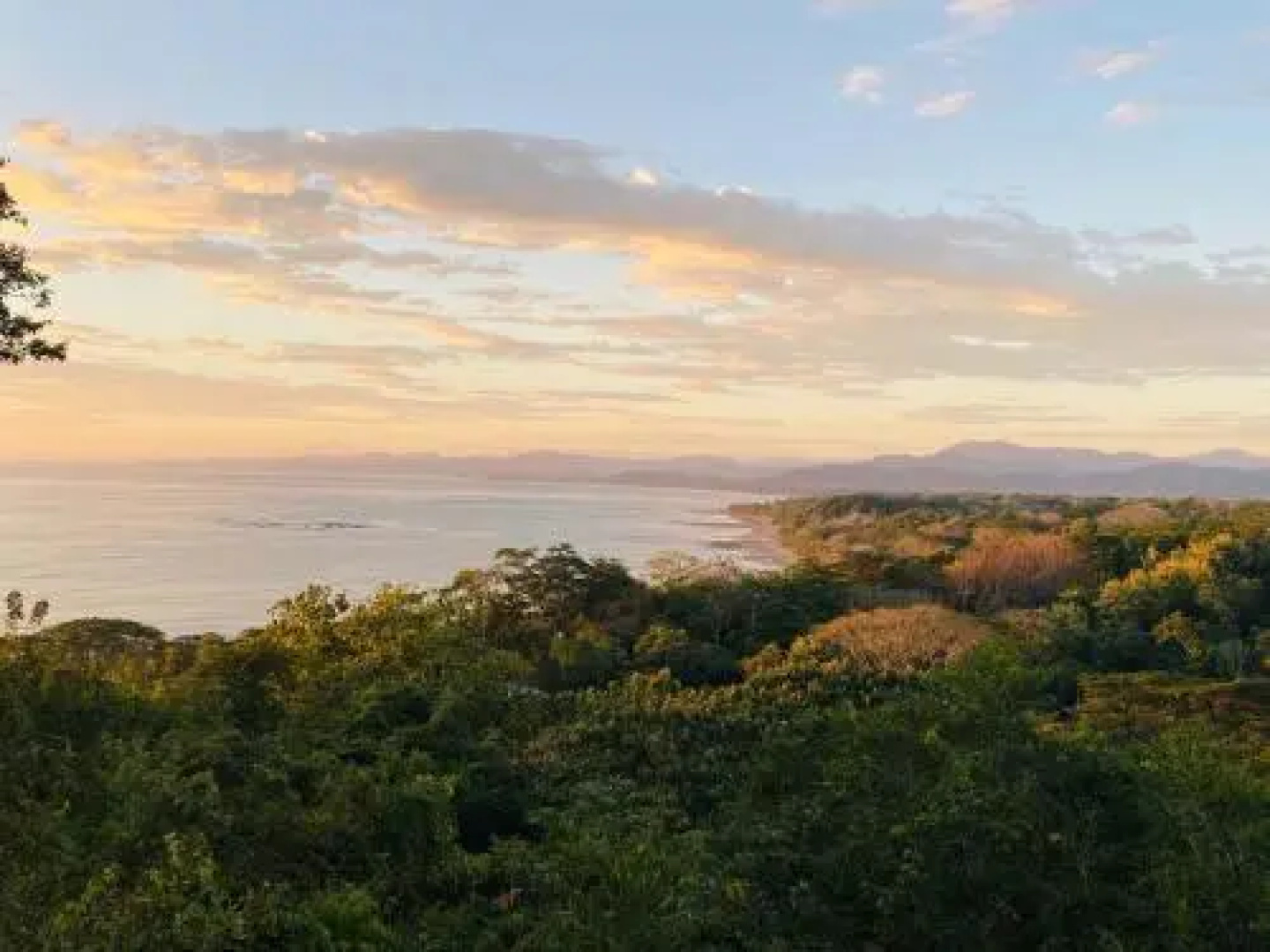 Casa Wakanda