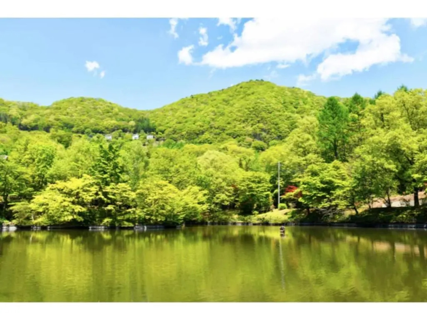 Polar Resort MinamiKaruisawa1 - Vacation STAY 18141v