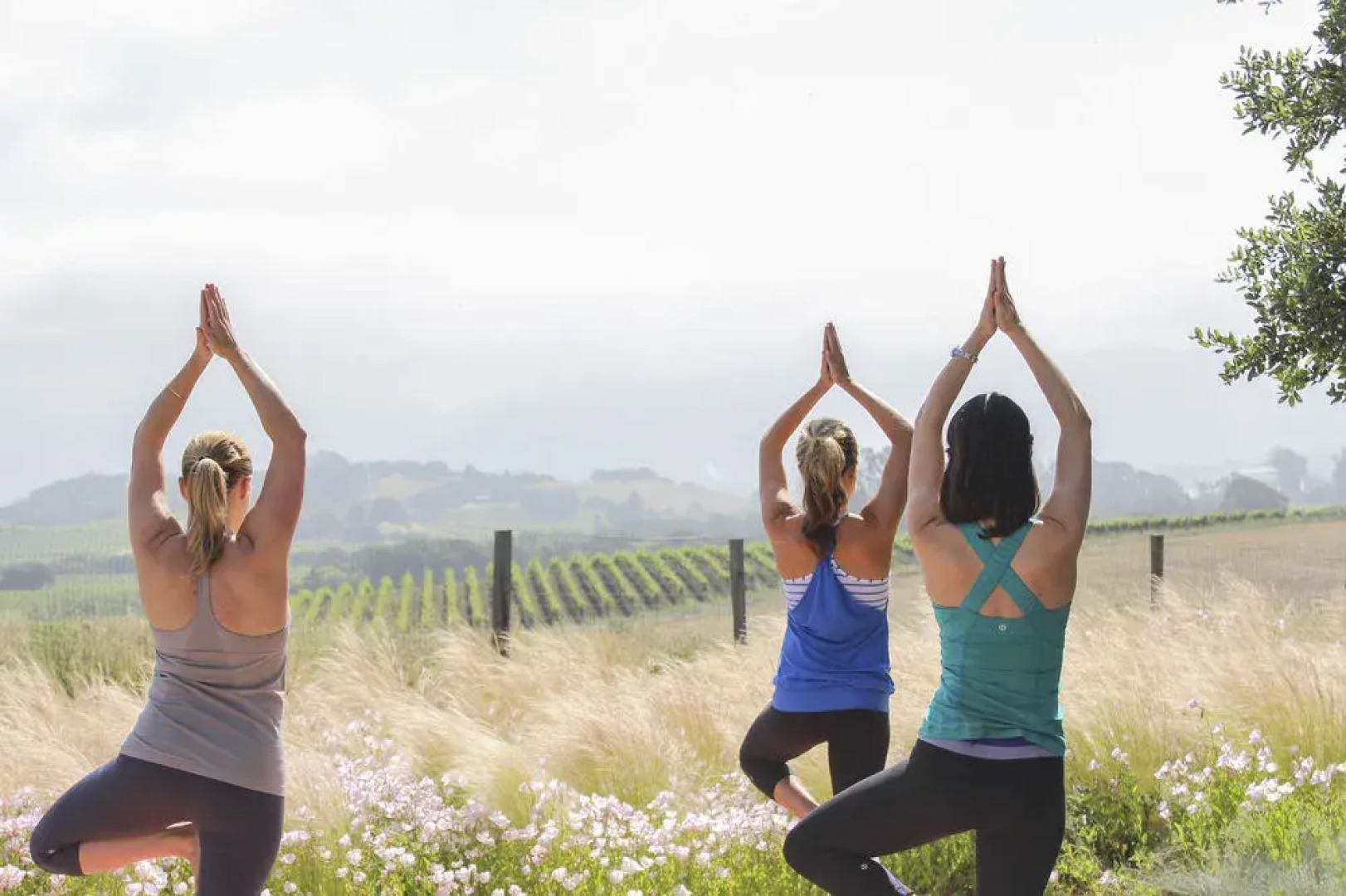 The Orchard at The Carneros Inn