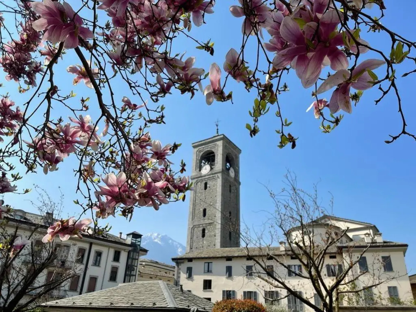 Appartamento La Baita Case Sondrio Fiume - Affitti Brevi Italia