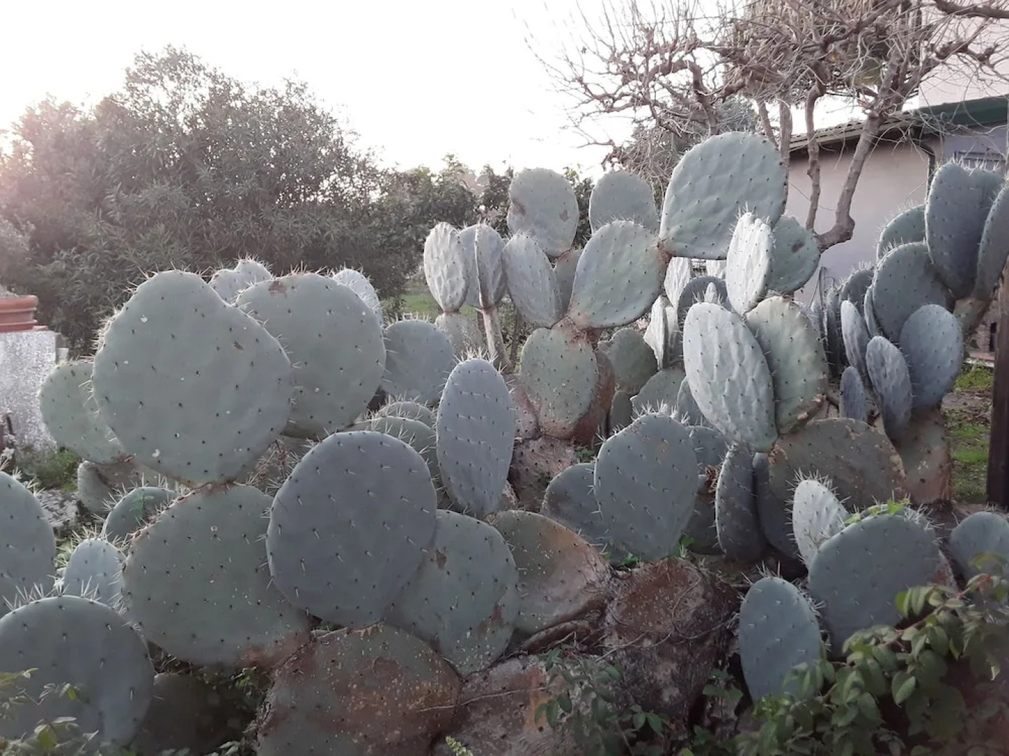 Itaca, and you Feel at Home