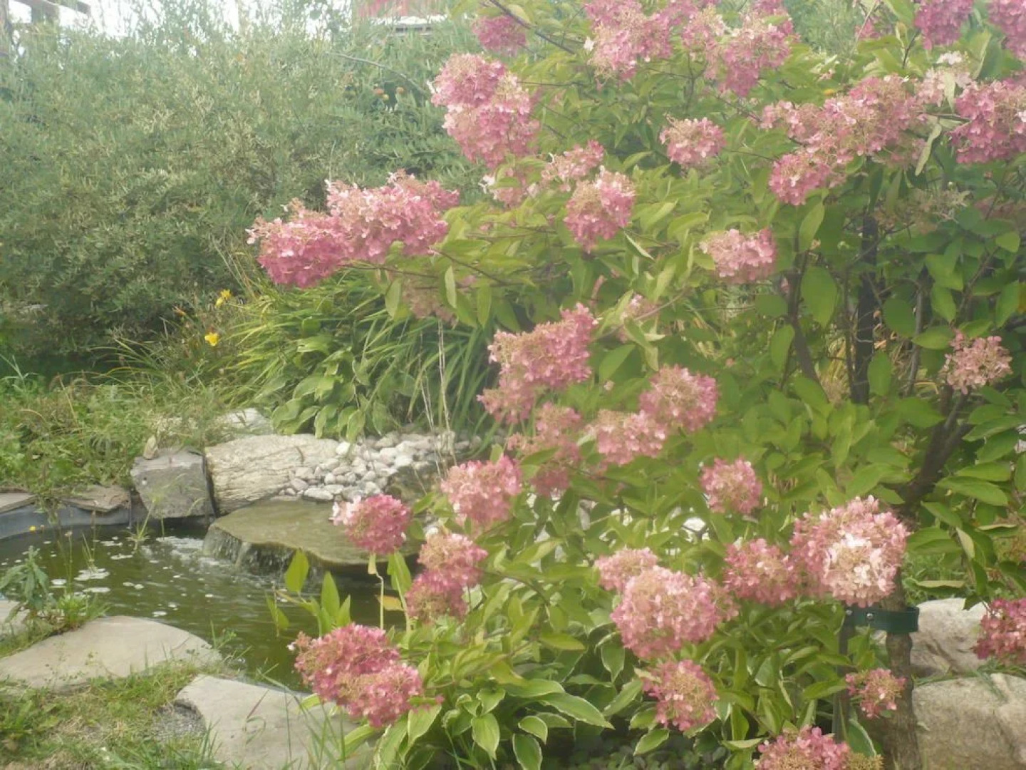 Résidence L'Entre-Deux