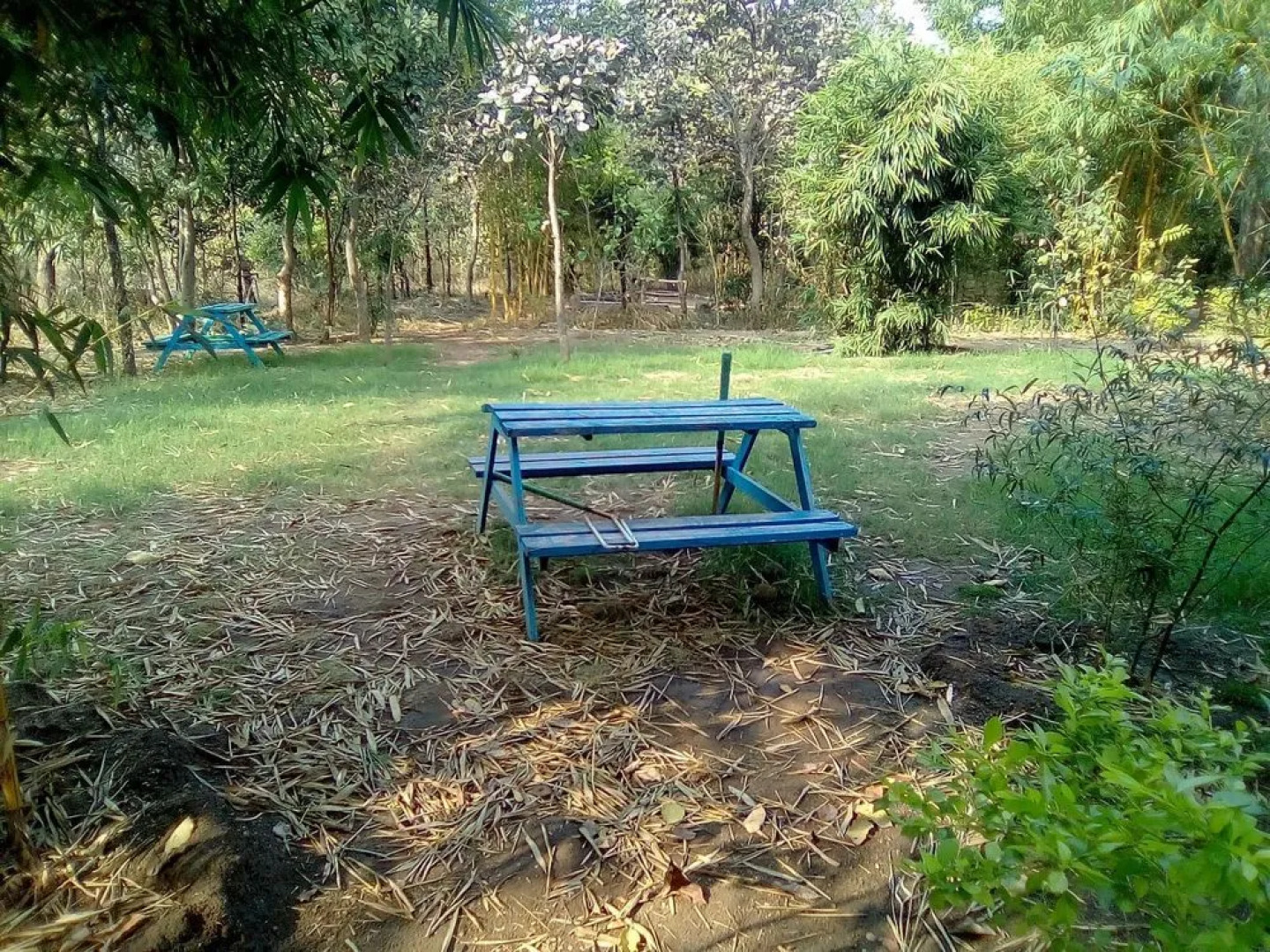 Tiger N Woods Resort