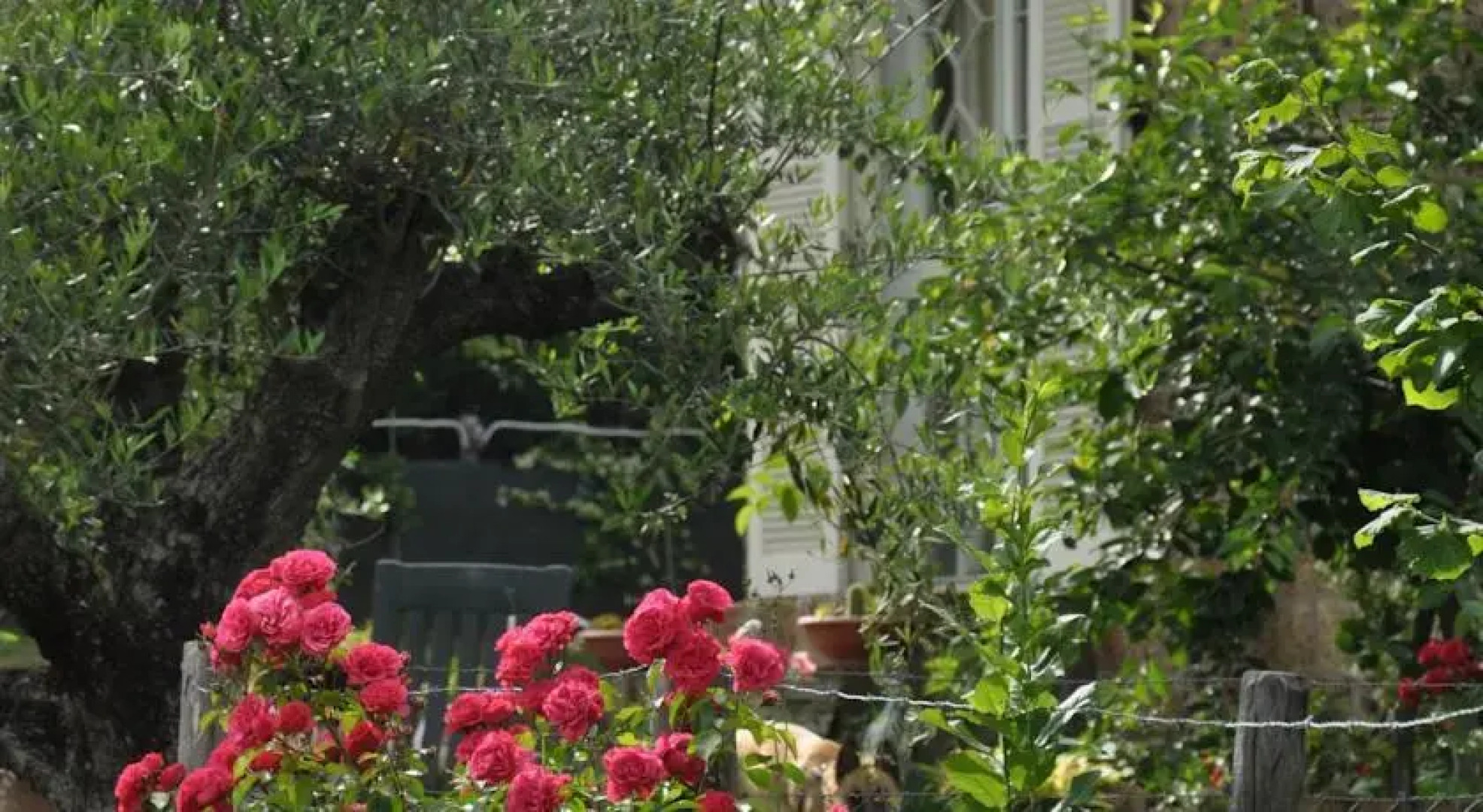 B&B Menica Marta Country House