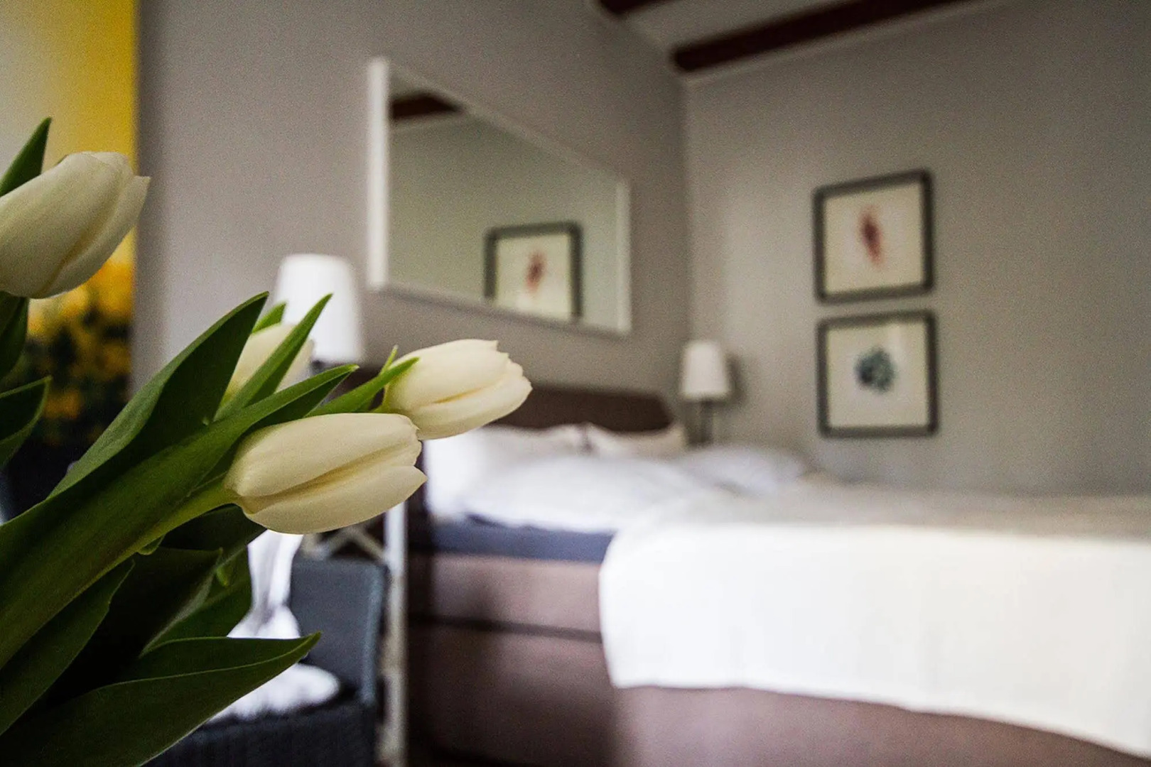 Görlitz Apartment - In der Bütt