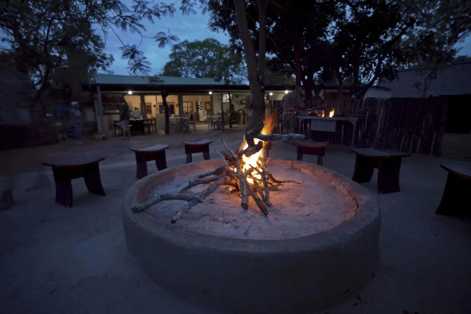 Wild Dogs Safari Lodge