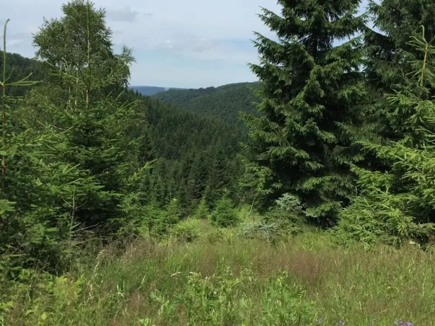 Yellow House Modern Retreat