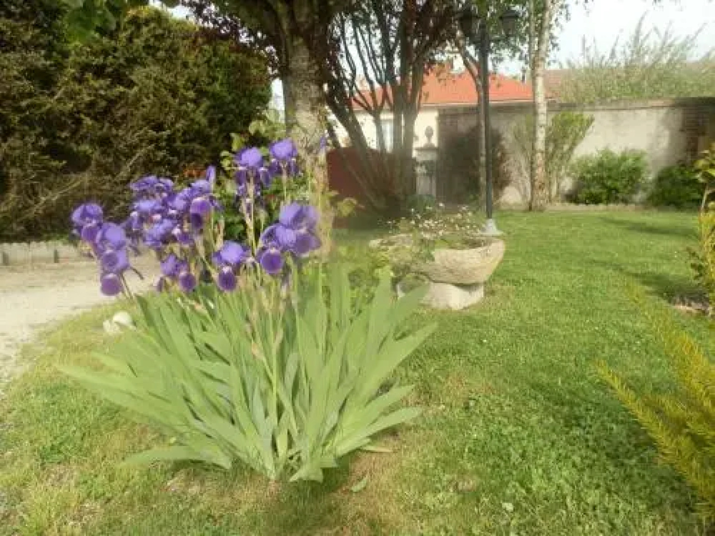 Chambre D'Hotes Floralia