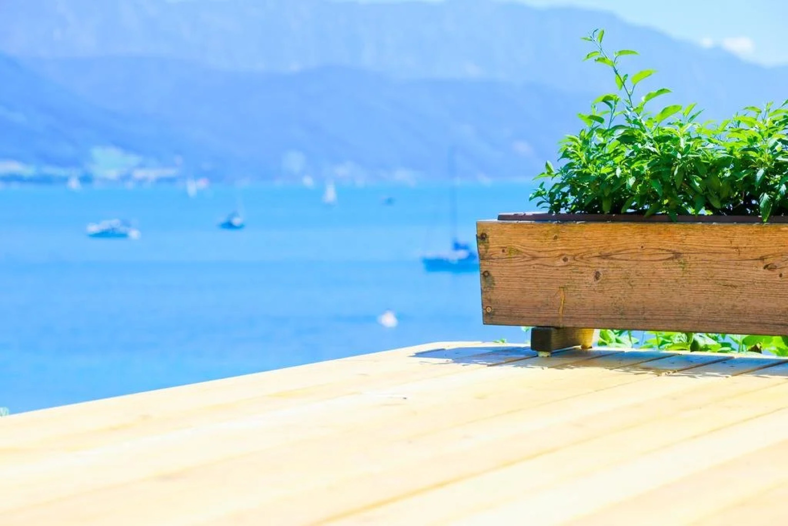 Pension Reiter-Moravec