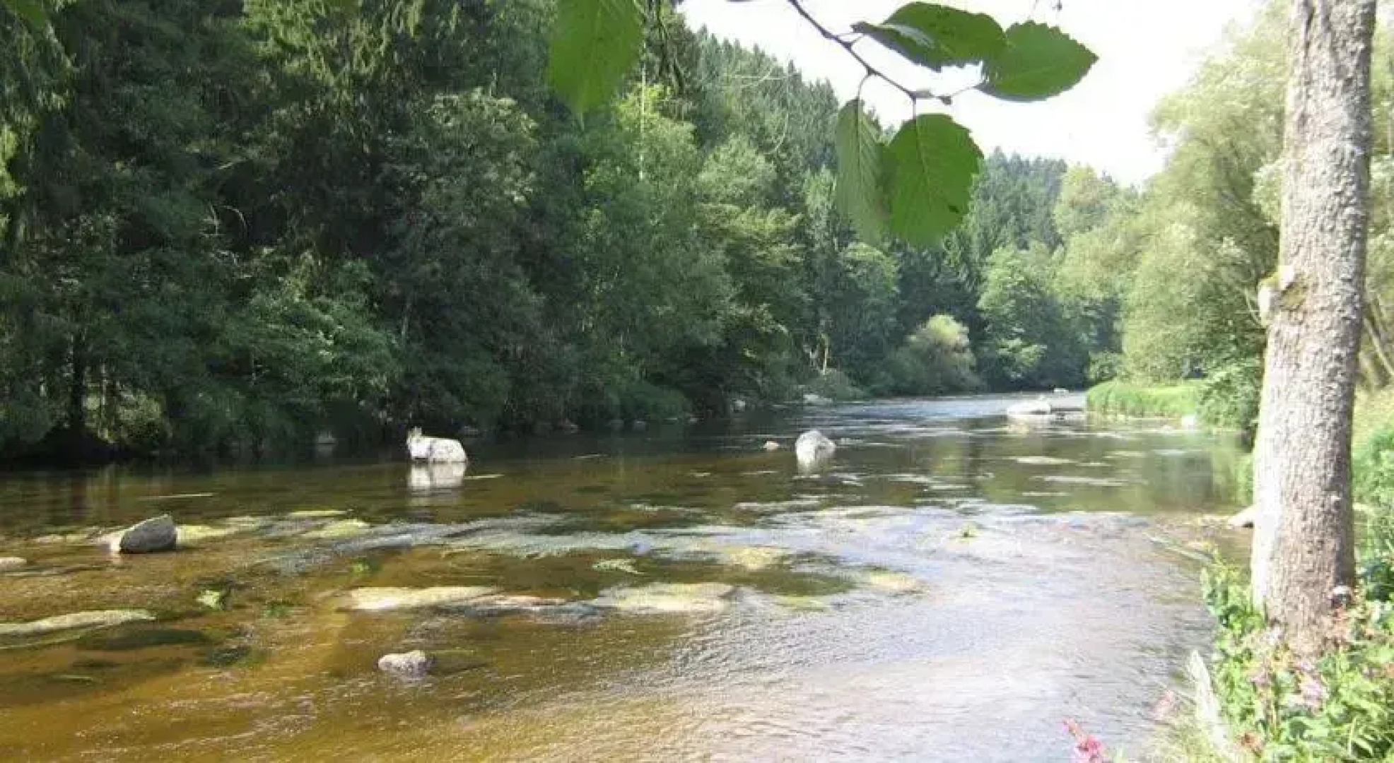 Ferienhaus zur Weinlaube