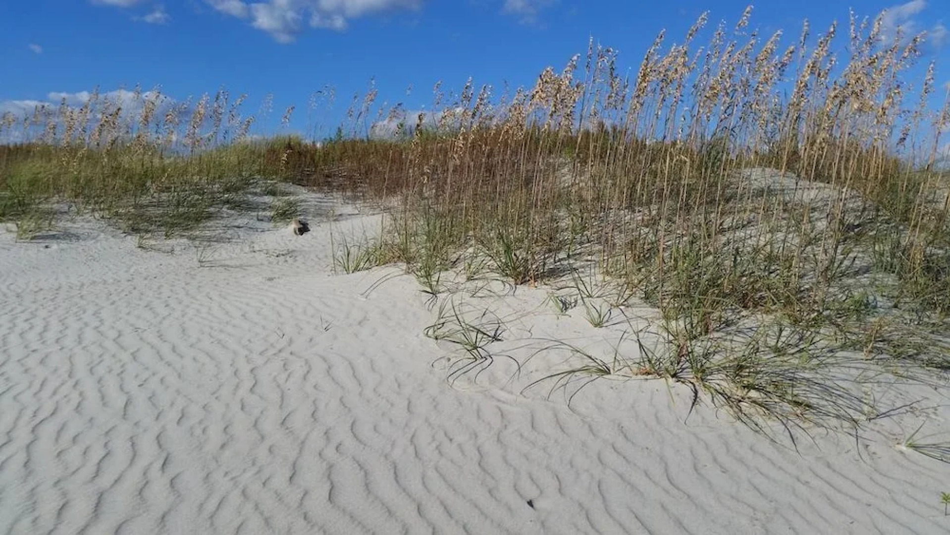 Avalon West- 5 Bedroom Home by RedAwning