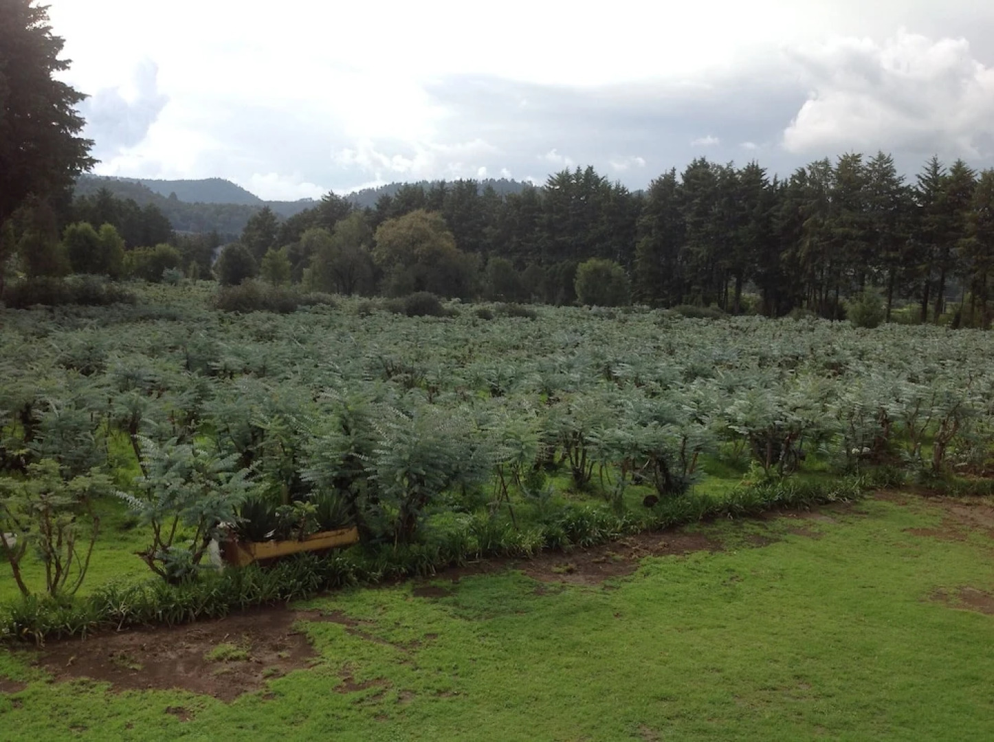 Rancho El Caballero Hotel