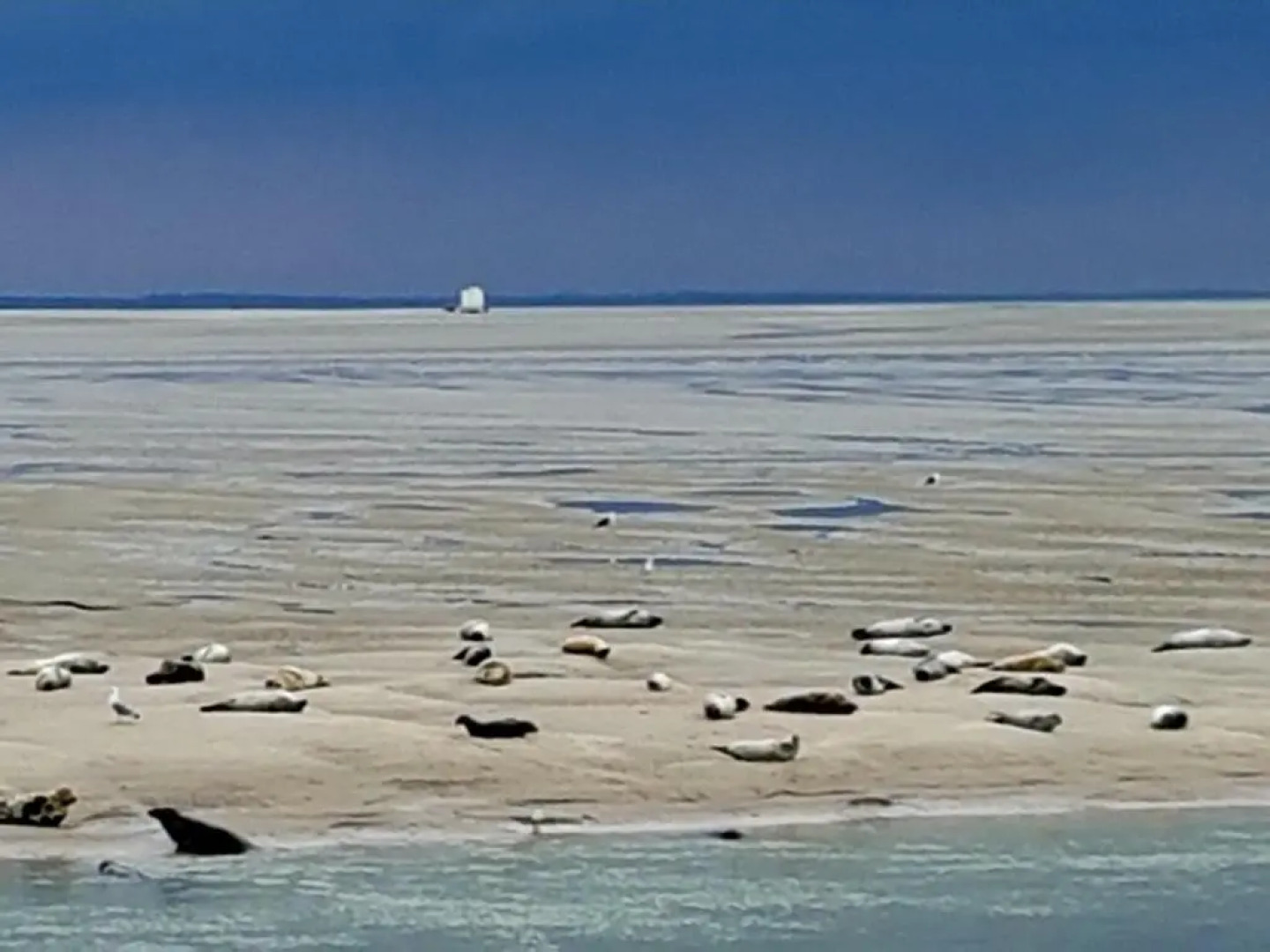 LES FRUITS DE MER, terrasse plein sud