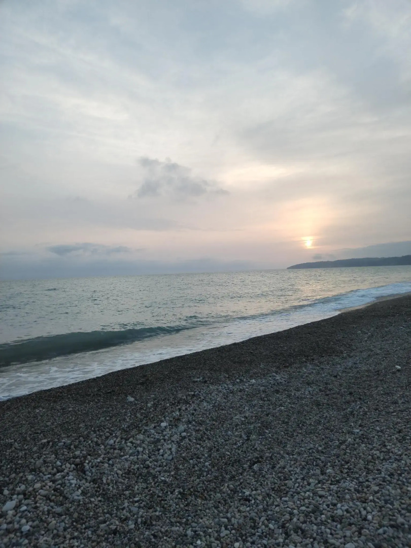 Гостевые коттеджи Leon (Леон)