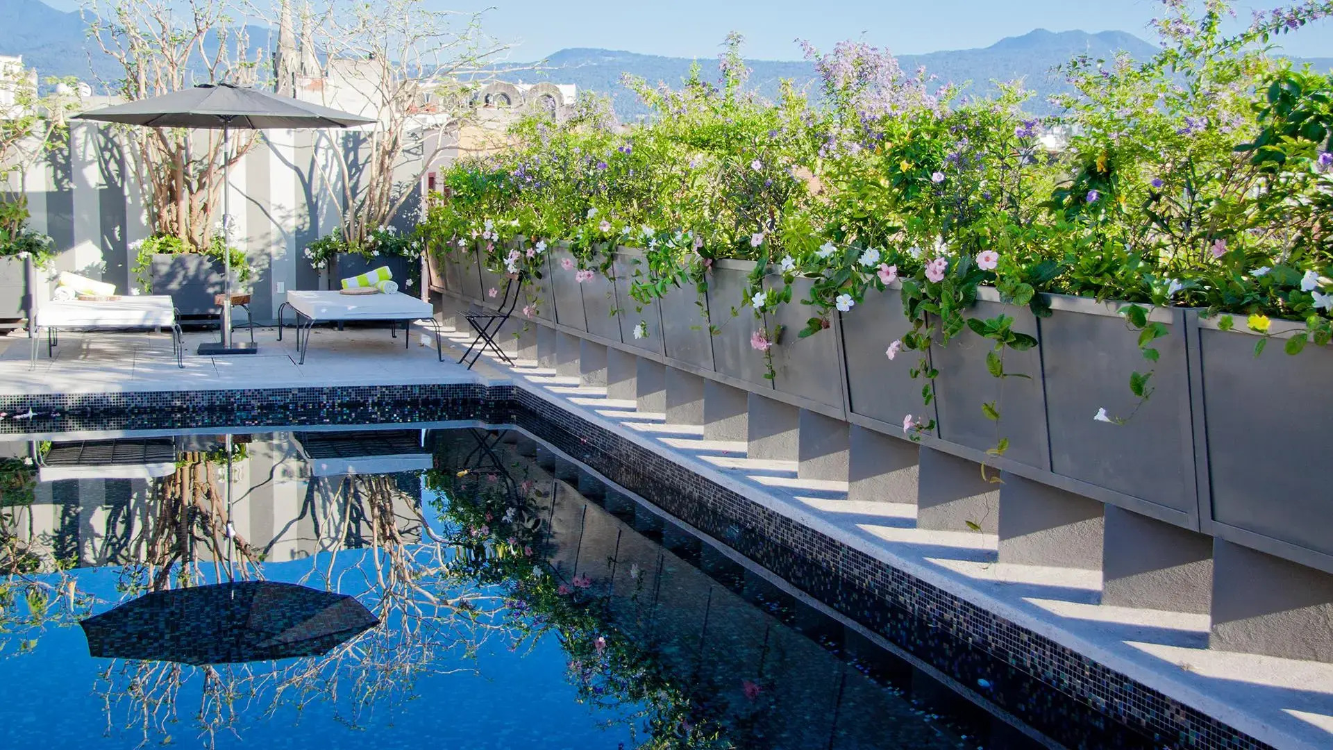 Flor de Mayo Hotel & Restaurant - Adults only