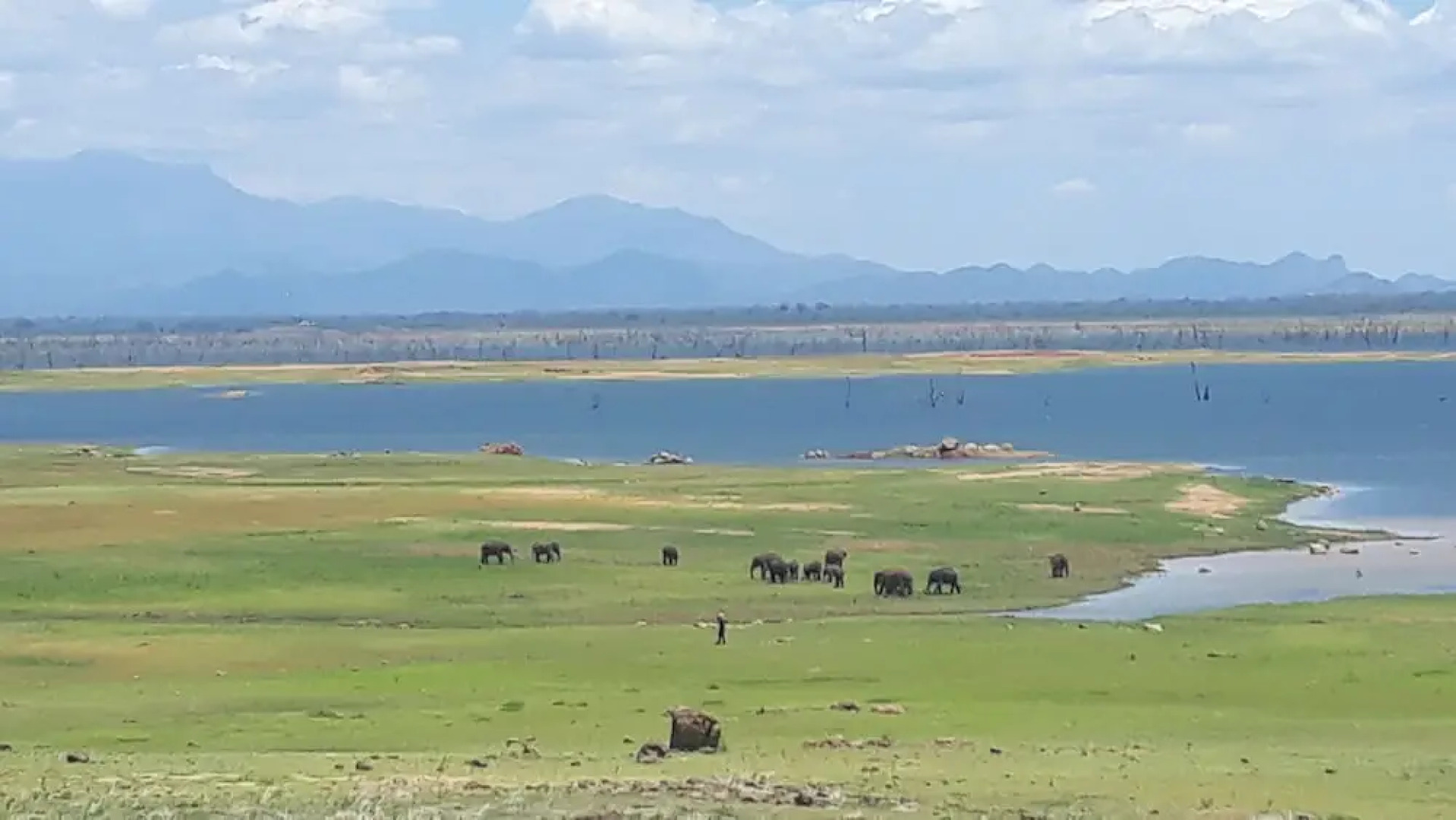 Dinstar Safari Lodge Udawalawa