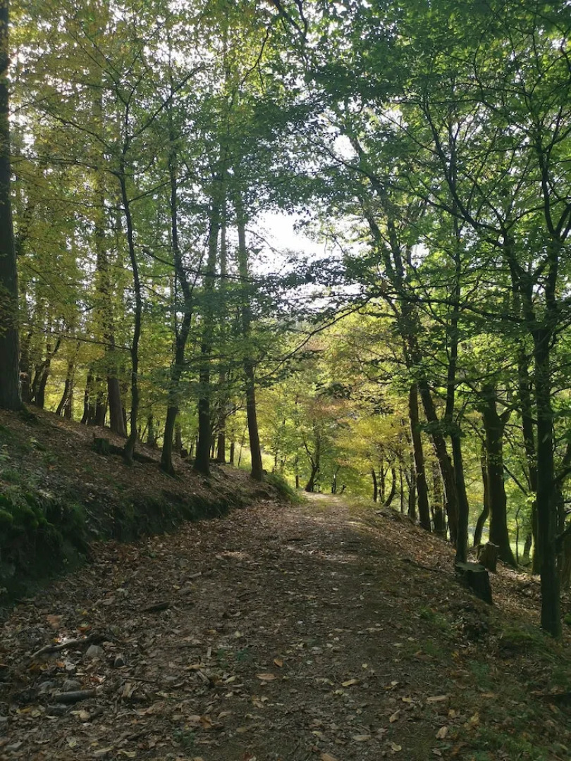 Les gites de Le Mnuisrey