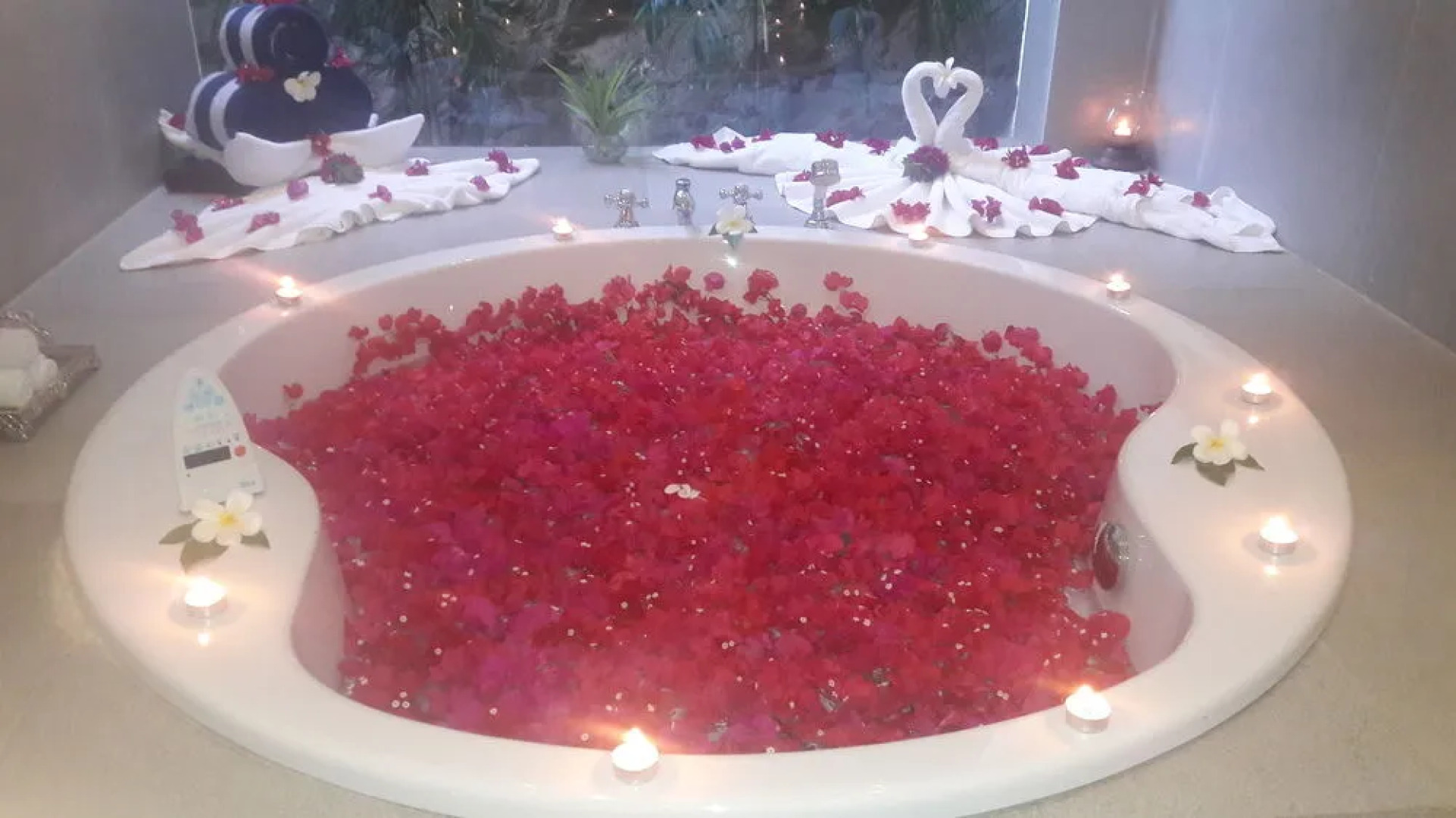 Tatsaraasa Resort and Spa Udaipur