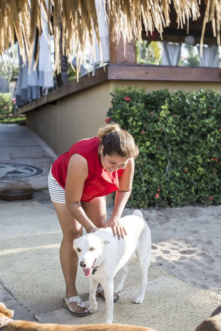 Present Moment Retreat