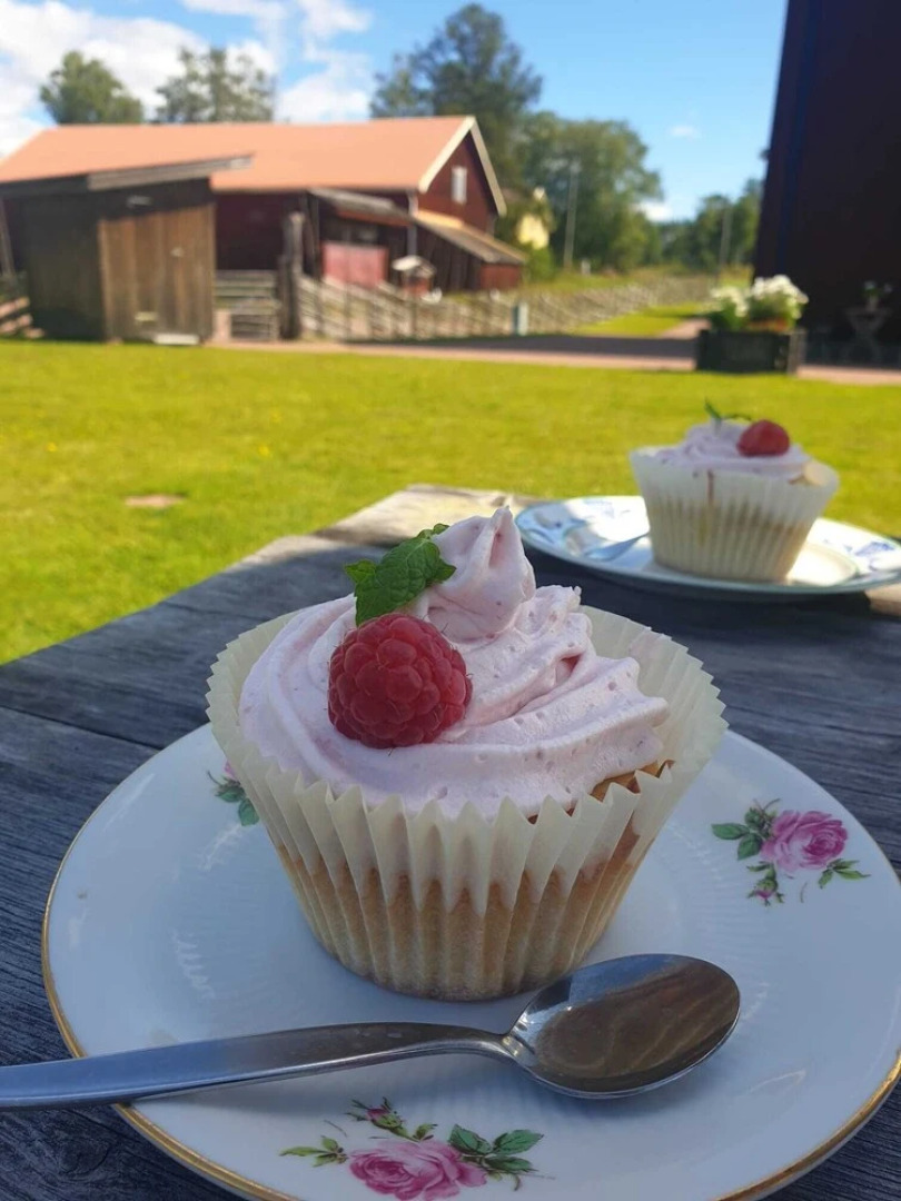 Beautiful 4-5 Persons Cottage in Alvdalen