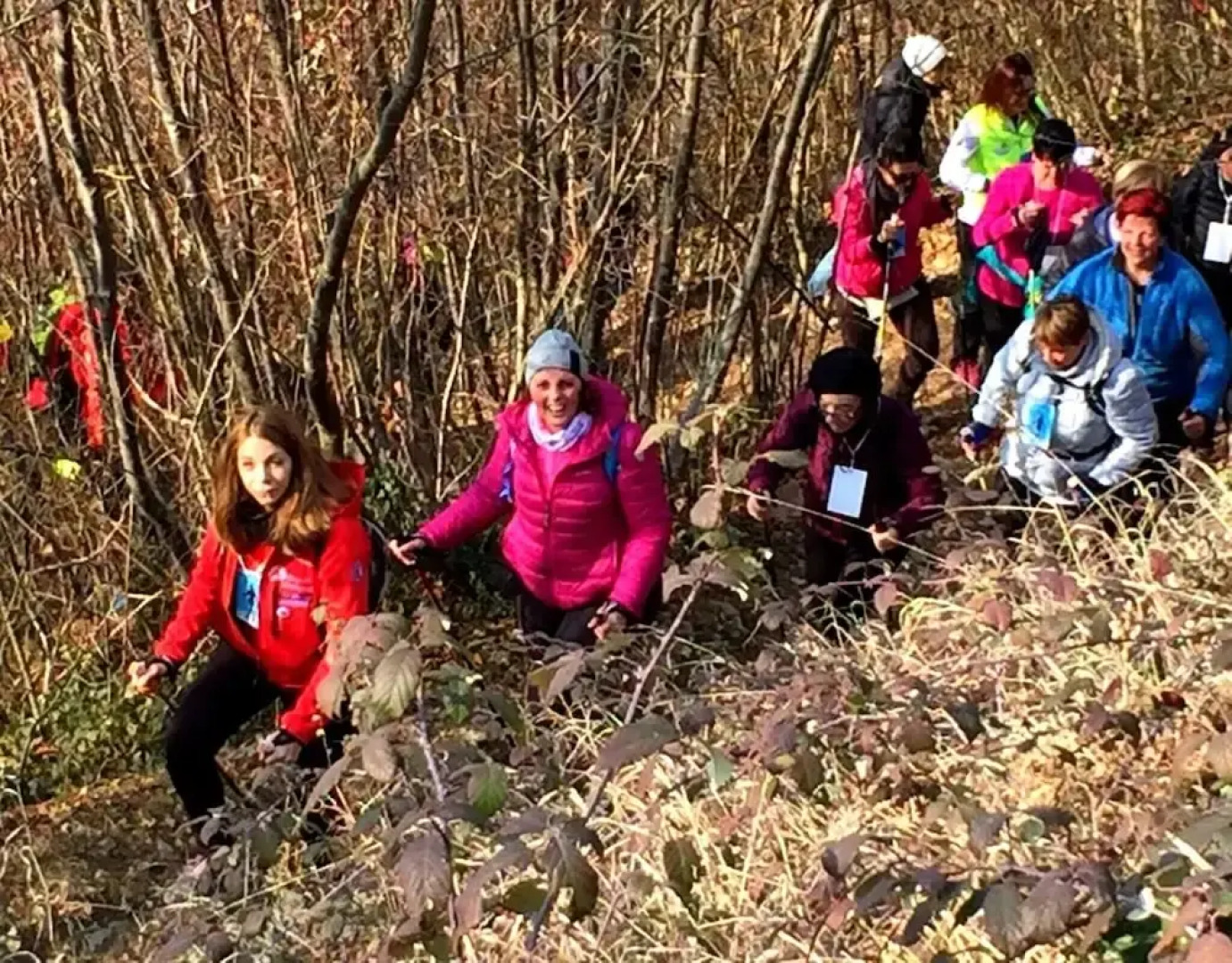 Comfortable House - Garden and Parking