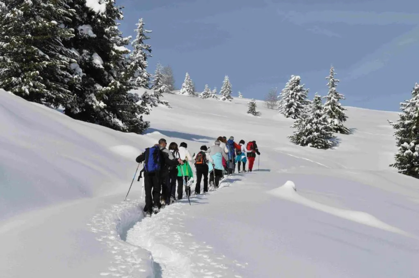 Bauernof Mittermüller