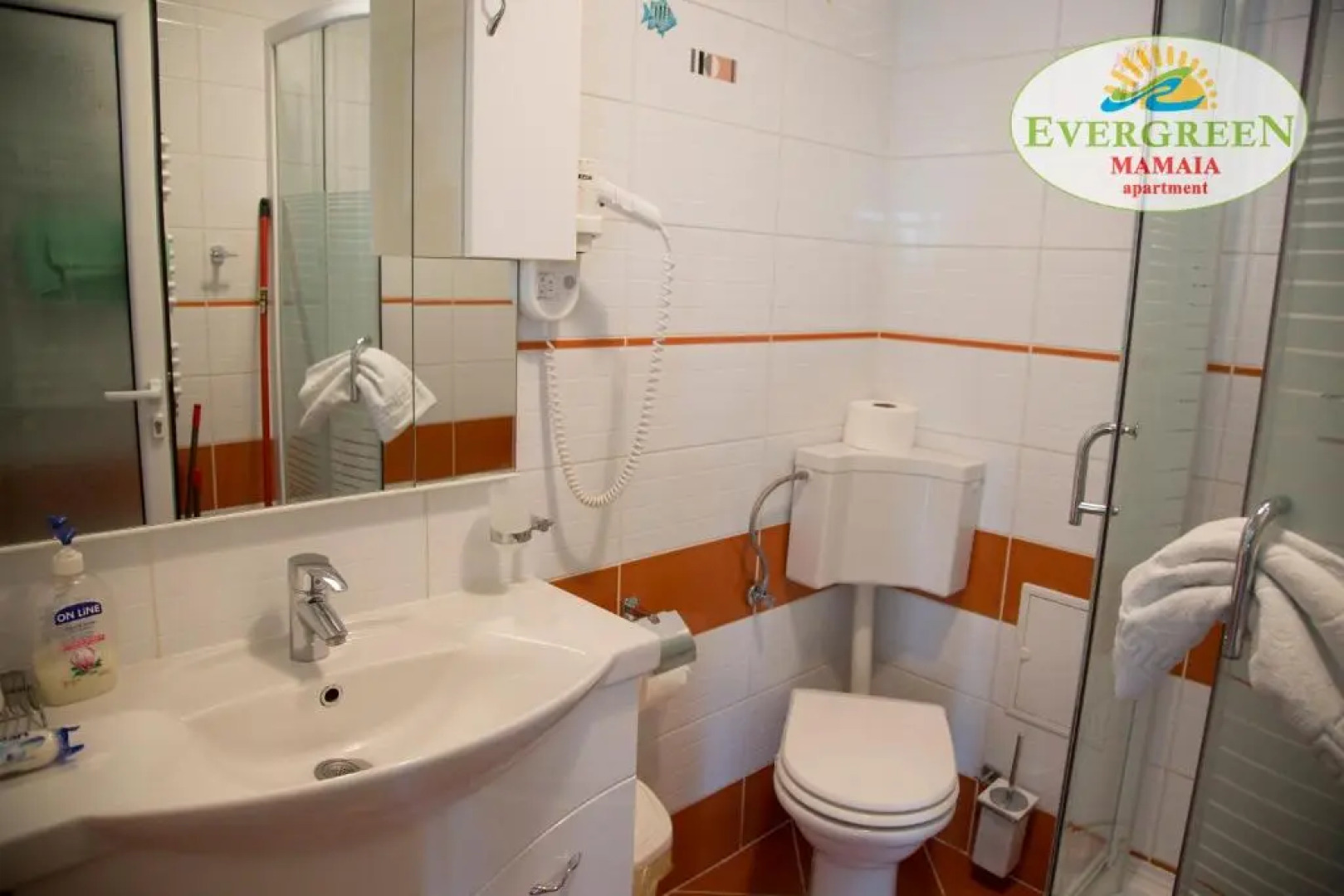 Evergreen Vlas Mamaia