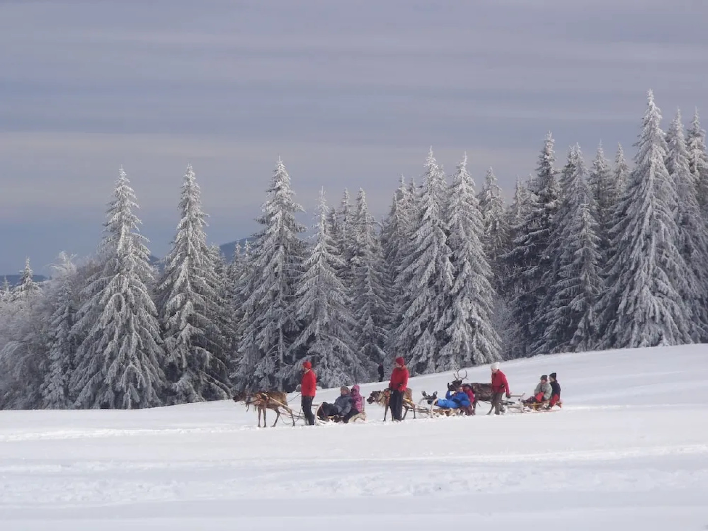 Chambres d'Hôtes La Petite Finlande