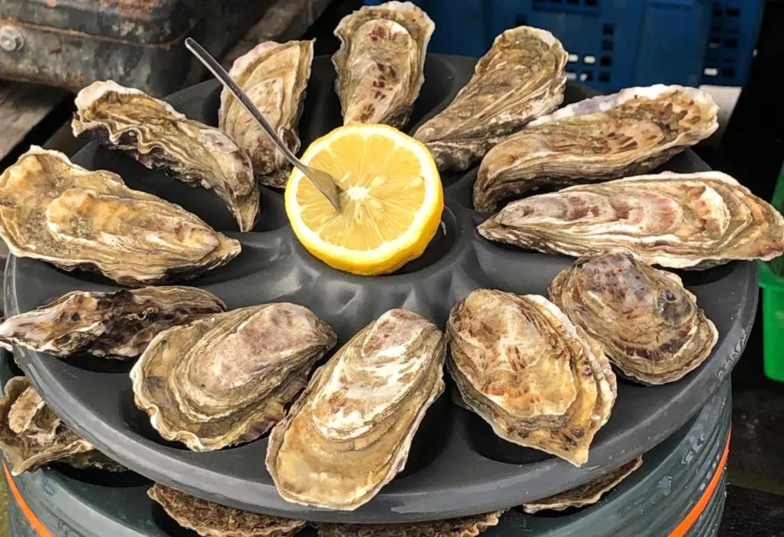 Le Clos de la Morière - " Chambres d'hôtes"