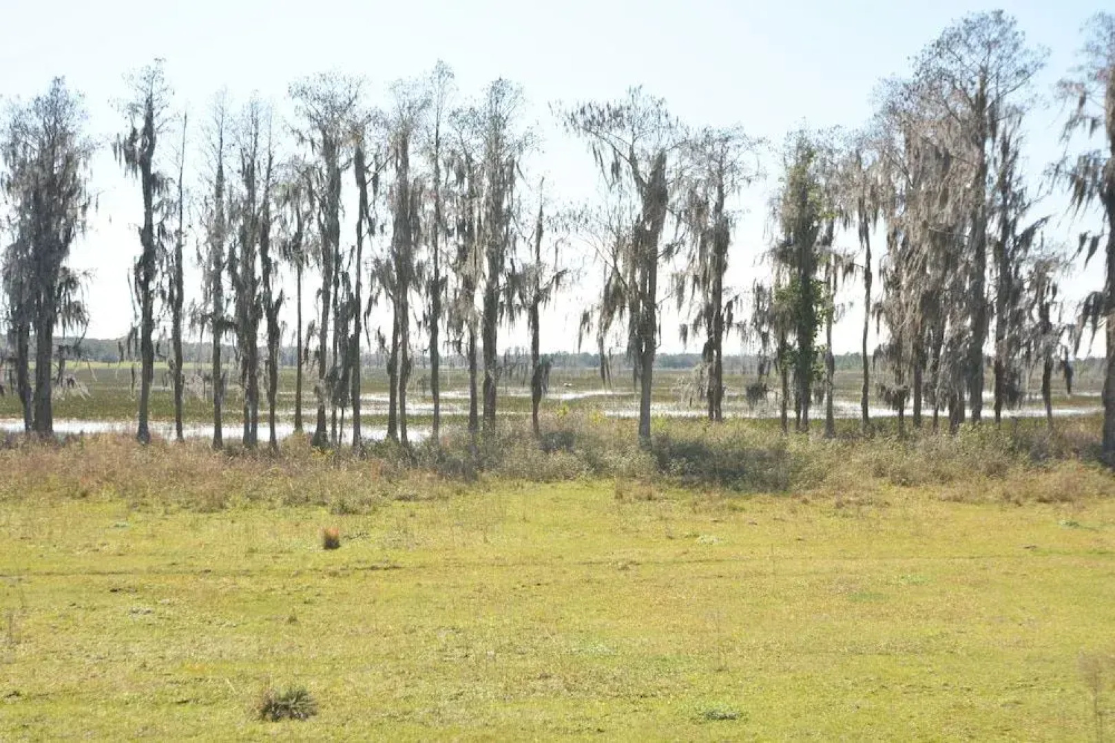 525 Sunset Ridge 5 Br villa by RedAwning